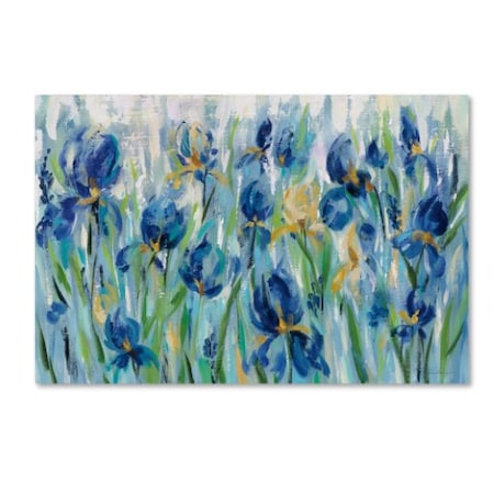 Silvia Vassileva 'Iris Flower Bed' Canvas Art,16x24